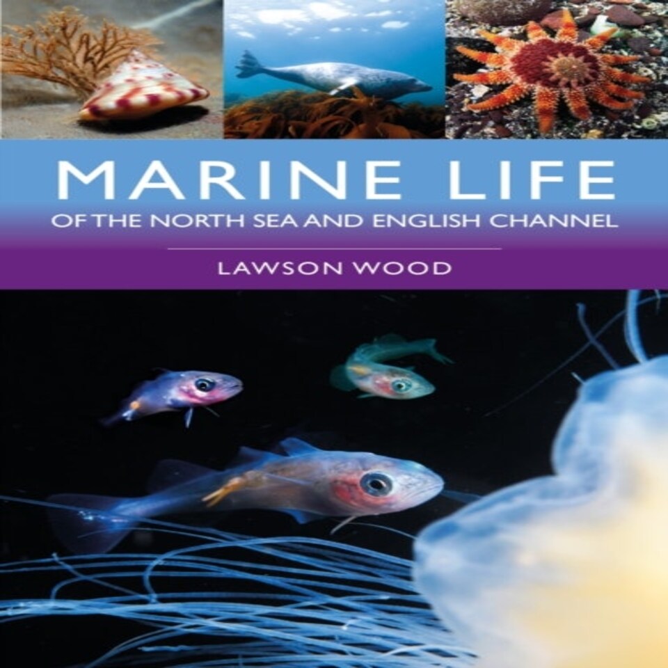Marine Life/north Sea & English Channel