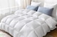 image 1 of 10.5 Tog Double Duck Feather & Down Duvet Cotton Cover Summer | White | White