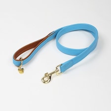 Shires Digby & Fox Padded Leather Dog Lead Black | Size: 1.5Cm
Colour: Black