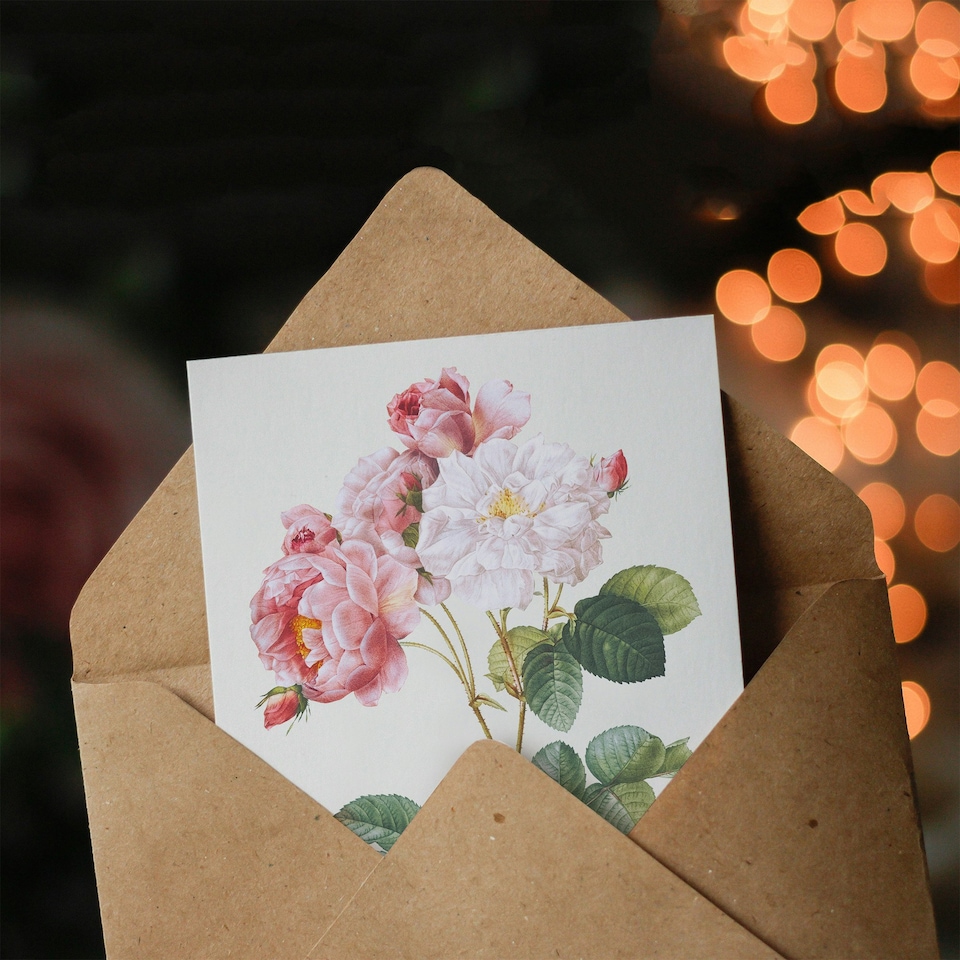 image 1 of Pierre-Joseph Redouté Art Card Vintage Pink Rosebush Flowers