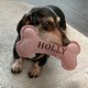 image 5 of History & Heraldry Pre-Personalised Squeaky Bone Dog Toy - Lucy
