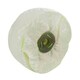 image 2 of G Loose Unstitched Floppy Final Polishing Mop 6" x 2" 4 section 3rd Stage