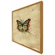 image 4 of Butterfly & paint splats (Picutre Frame) Grey | L