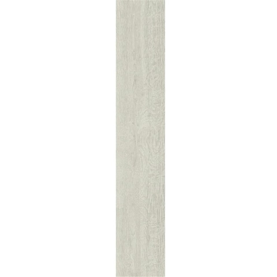 image 1 of PACK OF 20 (Total 20 Units) - White Oak 12mm Thick Laminate Flooring (29.6m2 Coverage)