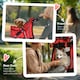 image 10 of PawHut Pet Stroller Carrier Foldable Deluxe Jogger Walk Travel Dog Cat Red