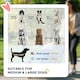 image 7 of PawHut Foldable Dog Carriage w/ Universal Wheels, Shock Absorber - Black