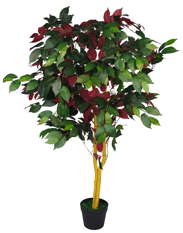 image 1 of 120cm (4ft) Artificial Capensia Tree Ficus Plant - Extra Large | Red | 4ft