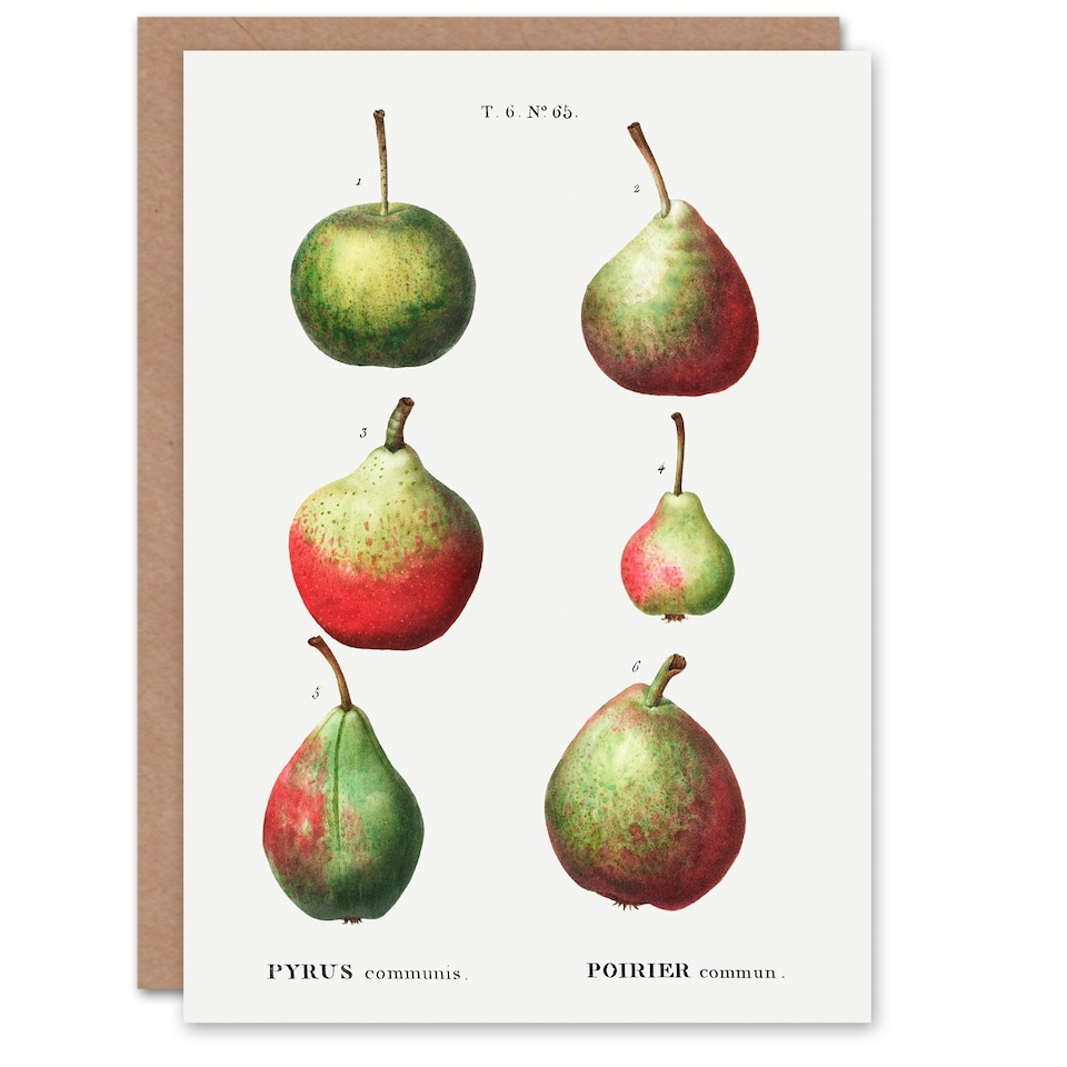 image 1 of Pierre-Joseph Redouté Art Card Pear Fruit Varieties Vintage