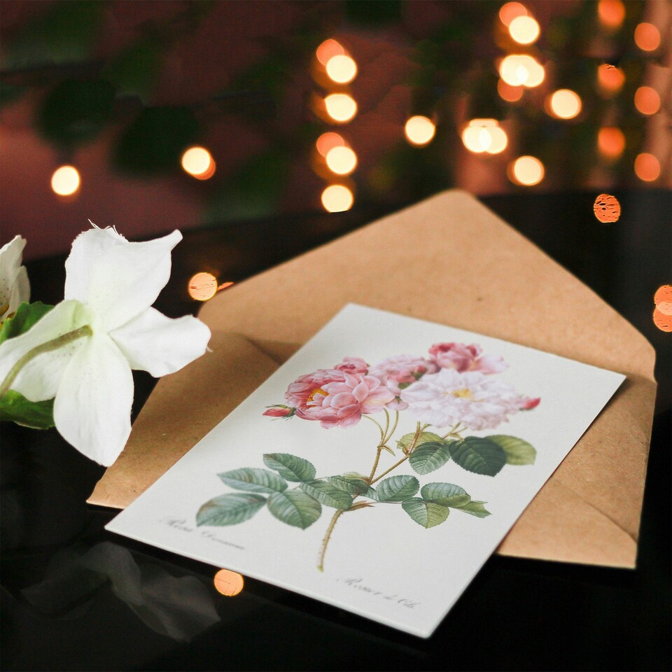 image 1 of Pierre-Joseph Redouté Art Card Vintage Pink Rosebush Flowers