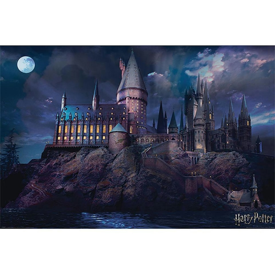 image 1 of Harry Potter Hogwarts Scene Poster - Multi Coloured - One Size