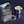 Blue, Purple, Black, White