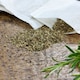 image 2 of Katcha Herbal Moth Repel Sachets - 20pk