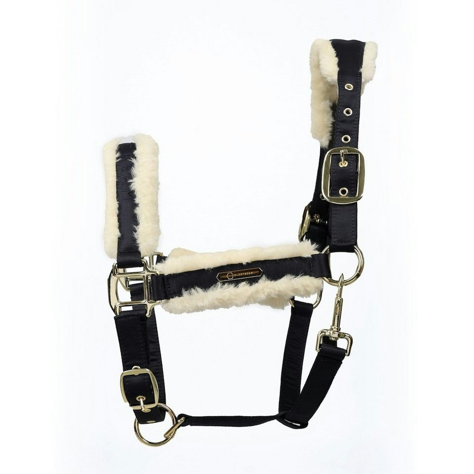 image 1 of Coldstream Langlee Luxury Horse Headcollar and Leadrope - Navy - Cob