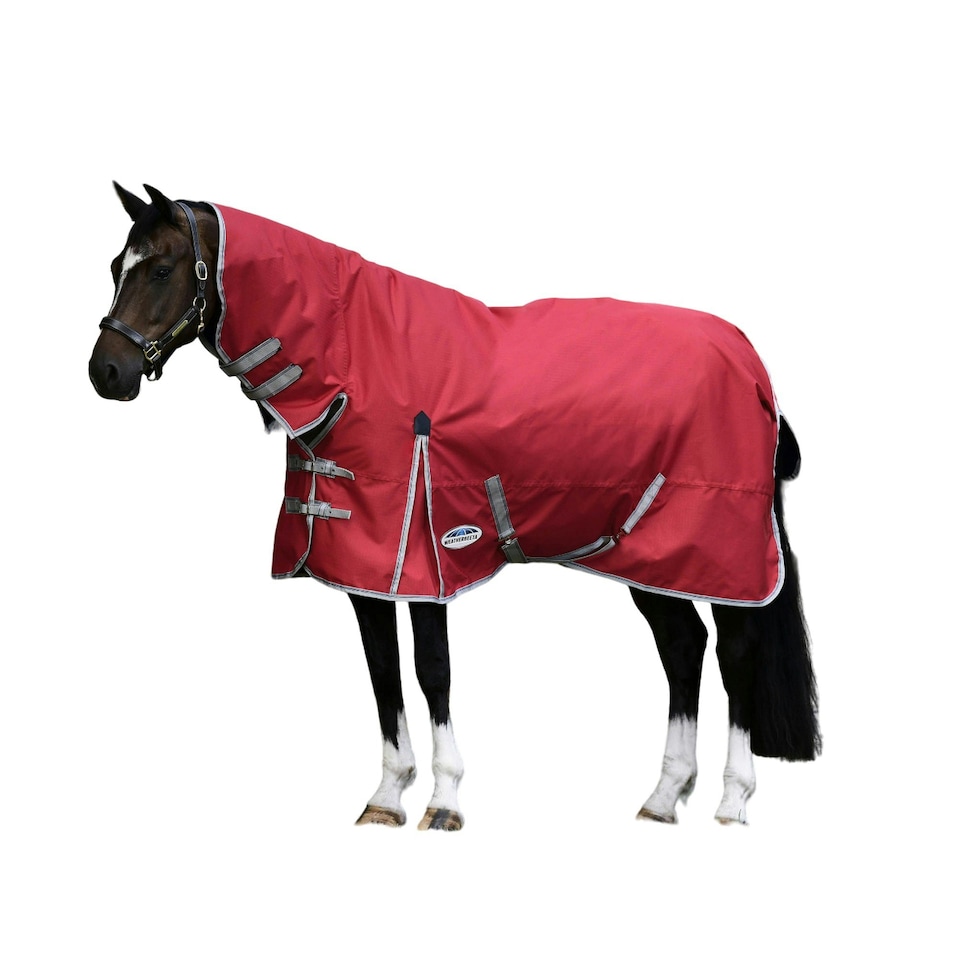 image 1 of Weatherbeeta Comfitec Classic Lite Plus Combo Neck Horse Turnout Rug - Red/Silver/Navy - 5´ 3"