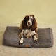 image 2 of Rosewood Joules Henson Check Dog Mattress Bed | Multi | L | 1