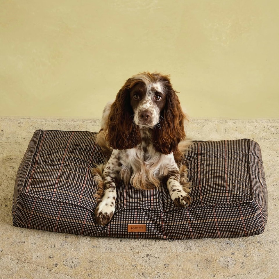 image 1 of Rosewood Joules Henson Check Dog Mattress Bed | Multi | L | 1