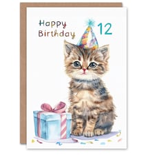 Cute Baby Cat Kitten Party Hat Gift 12 Year Old Birthday Greeting Card