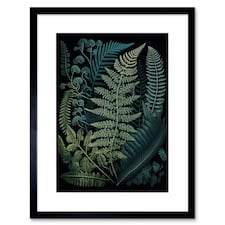 Leaf Fern Fronds Ernst Haeckel Style 9x7" Black Framed Wall Art Print