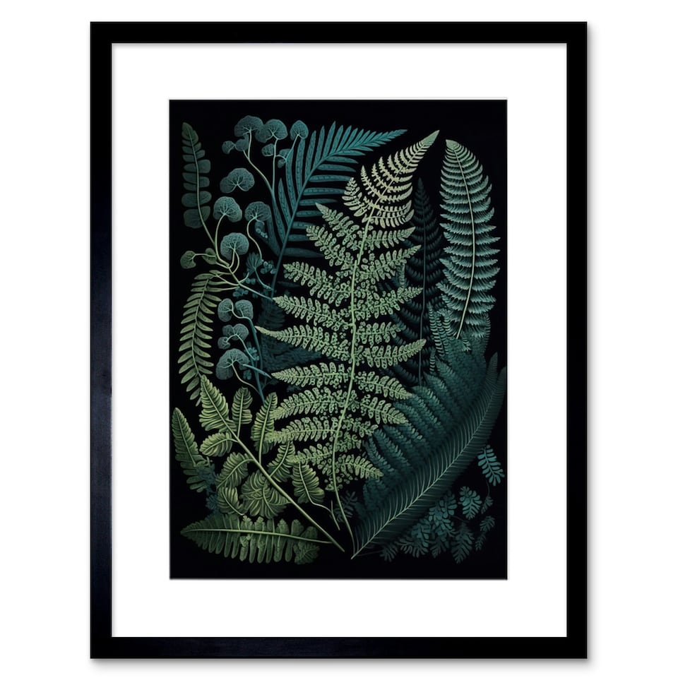 image 1 of Leaf Fern Fronds Ernst Haeckel Style 9x7" Black Framed Wall Art Print