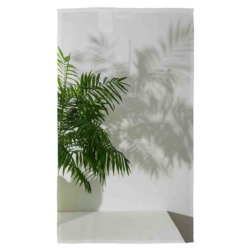 Chamaedorea Kitchen Towel