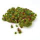 image 1 of Gaugemaster Scenics Flowers (250)