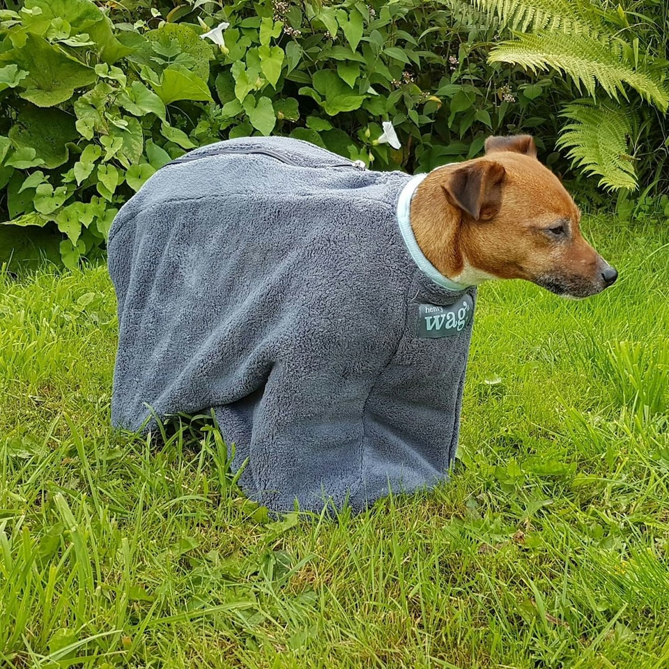 image 1 of Henry Wag Dog Drying Coat - Grey - Large