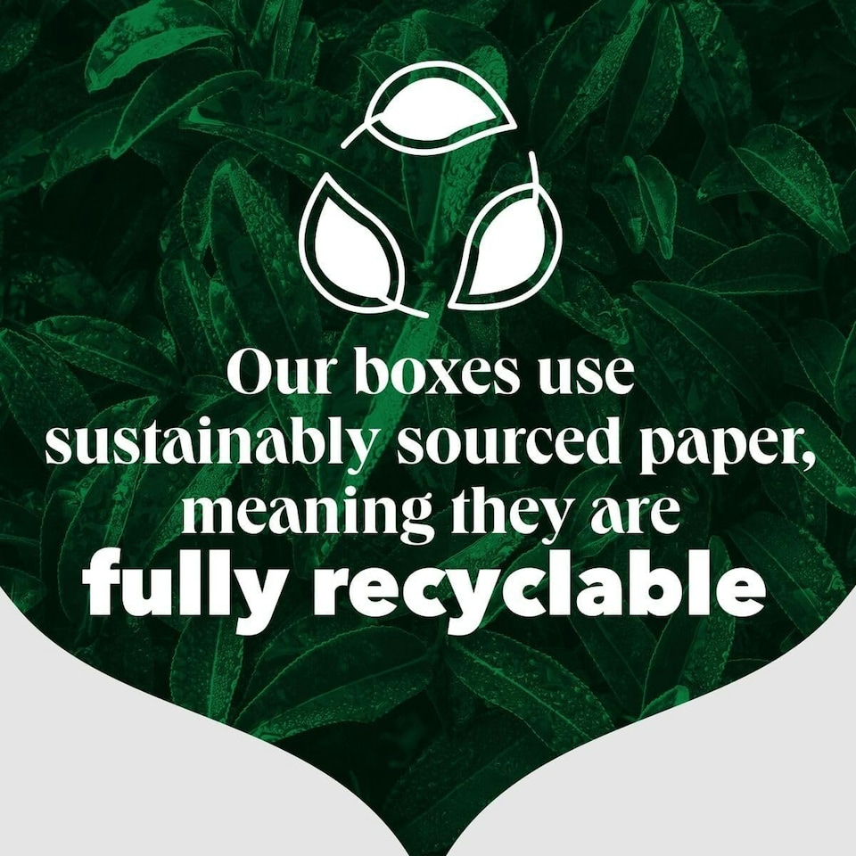 image 1 of PG Tips Decaf Black Tea Bags, Indulgent, Velvety & Rich Black Tea, Perfect Flavour Release, 6 Packs, 420 Plant Based Biodegradable  Tea Bags Black Tea