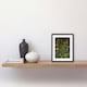 image 2 of Audubon Style Birds Insects Jungle 9x7" Black Framed Wall Art Print