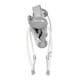 image 2 of Lorelli Portofino Baby swing