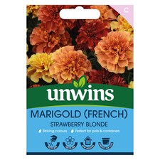 Marigold (French) Strawberry Blonde | Multi | Russet Pink | Flower Seeds | 1