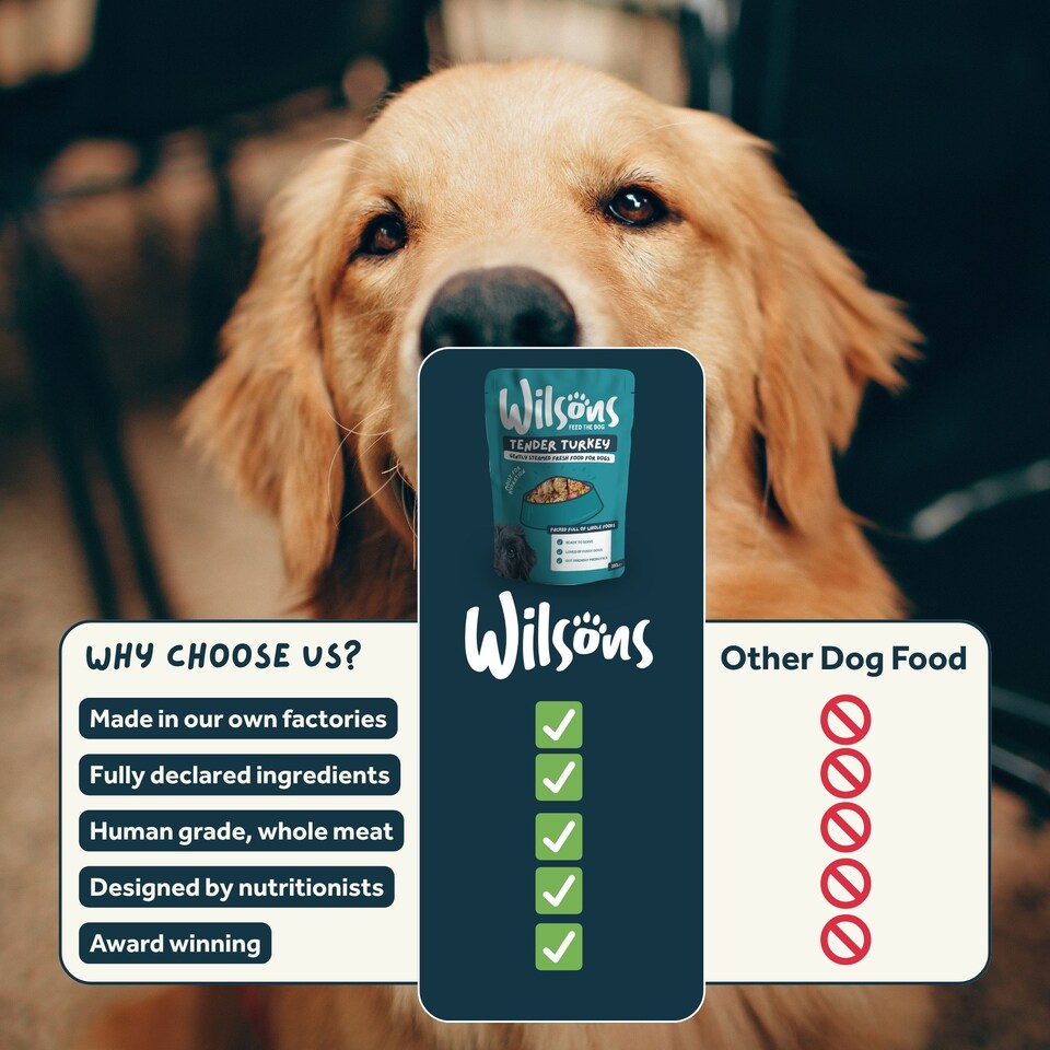 image 1 of Wilsons Turkey Fresh Dog Food Premium Natural Protein Complete Balanced Diet - 8x 380g Pouches
