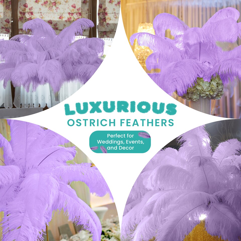 image 1 of 50cm - 60cm Large Ostrich Feathers, Showgirl Spadones - 5pcs