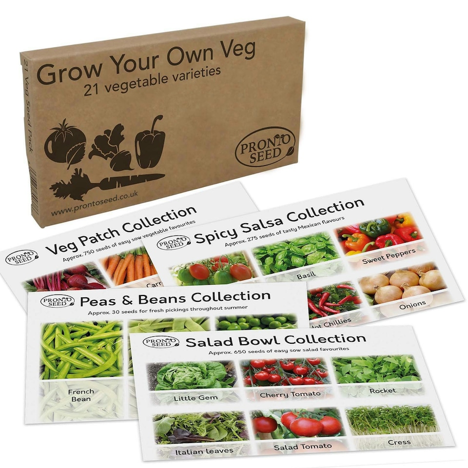 image 1 of Pronto Seed Vegetable Seeds Bumper Pack – 21 Popular Varieties, Over 1,700 Seeds for Growing Your Own Veg