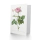 image 2 of Pierre-Joseph Redouté Art Card Gallic Rose Vintage Flower Illustration