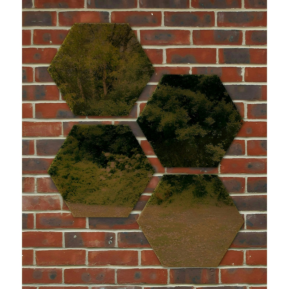 image 1 of Primrose Set of 7 Acrylic Hexagonal Silver Garden Illusion Mirror 180cm x 75cm