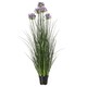 image 1 of Large Purple Agapanthus Plant in Pot - Plastic - L14 x W14 x H120 cm - Green