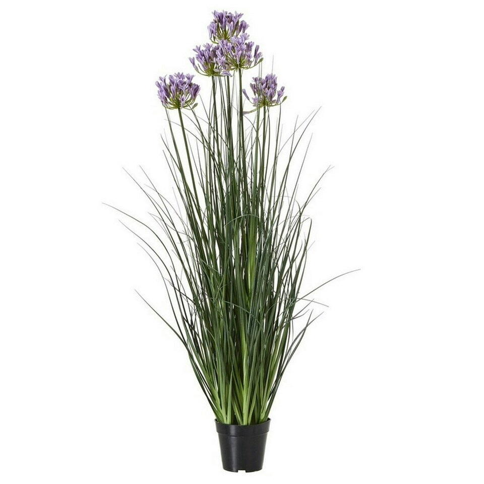 image 1 of Large Purple Agapanthus Plant in Pot - Plastic - L14 x W14 x H120 cm - Green