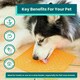 image 4 of LickiMat X Large Dog Feeding Mat for Boredom and Anxiety Relief Turquoise