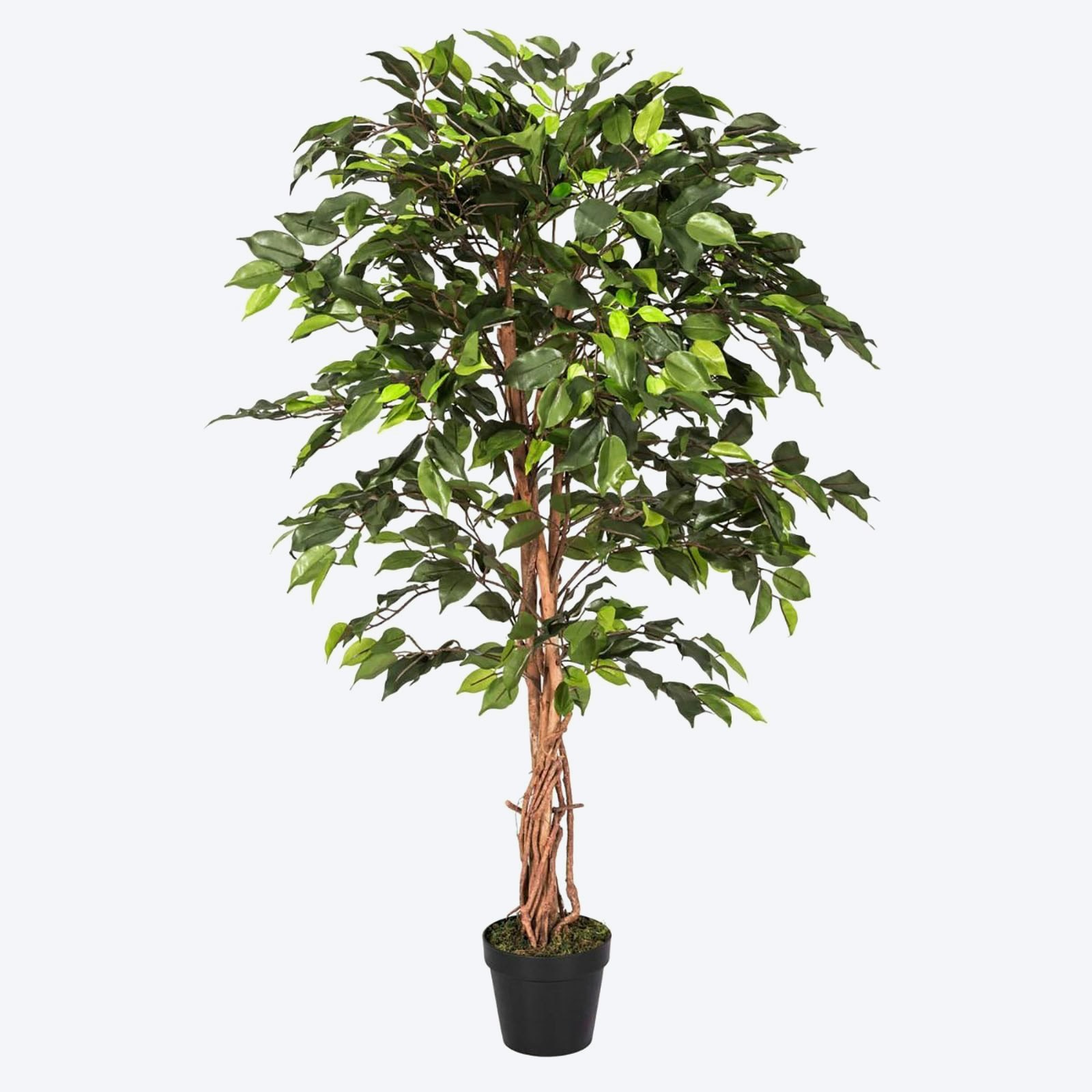 Homescapes 4ft Green Artificial Ficus Tree Faux Plant with Real Wood Trunk for Home and Office