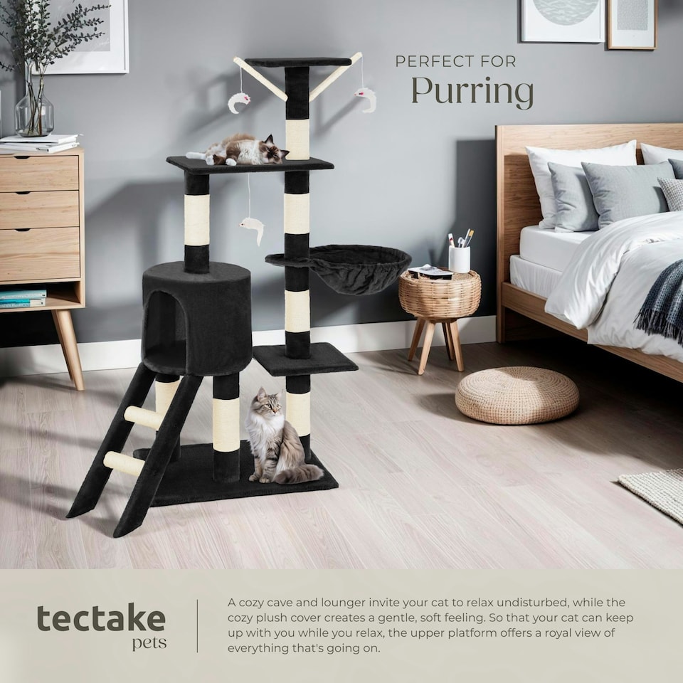 image 1 of Cat Tree Dominik - 144 cm, sisal cat scratching post, mice & anti-tip protection - Black