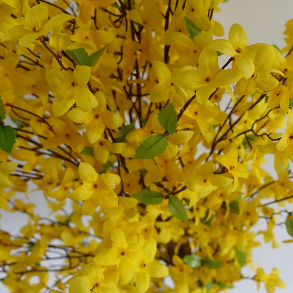 image 1 of 60cm Artificial Forsythia Tree