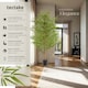 image 2 of Artificial Plant - bamboo grass, realistic look, low-maintenance | Green | green | 50 x 50 x 180 cm | 1
