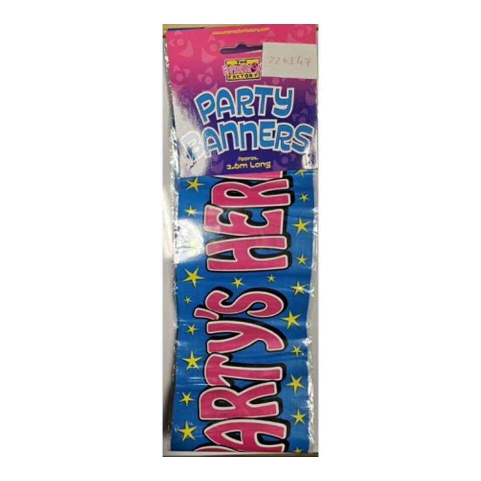 The Expressions Factory Banner - Blue/Pink - One Size