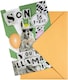 image 4 of Son 16th Birthday Card Die-Cut 3D Design