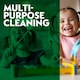 image 4 of Asevi Oxy Active Multi-Purpose Surface Cleaner Clothes Stain Remover 1.1L