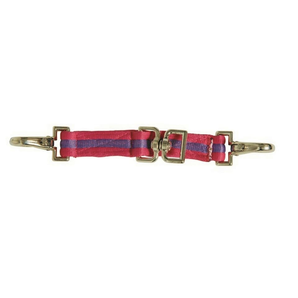 Kincade Two Tone Lunging Attachment - Pink/Purple - One Size