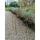 image 1 of Paris Cloche Plant Support - Steel - L43.2 x W43.2 x H72.4 cm - Bare Metal/Ready to Rust