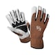image 1 of Kent & Stowe Sure & Fit Multi Job Gardening Gloves Small Premium Leather with Spandex and PVC Grip | Brown | Small