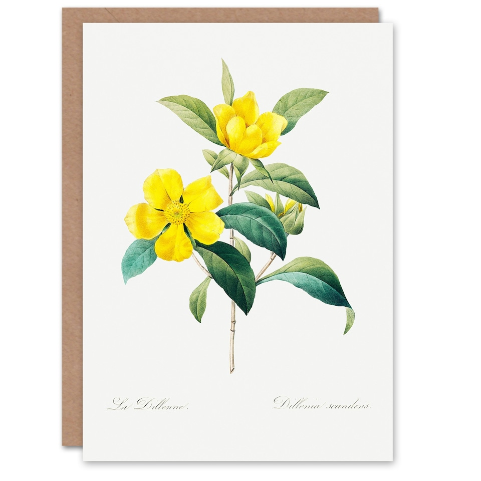 image 1 of Pierre-Joseph Redouté Art Card Golden Guinea Vine Flowers