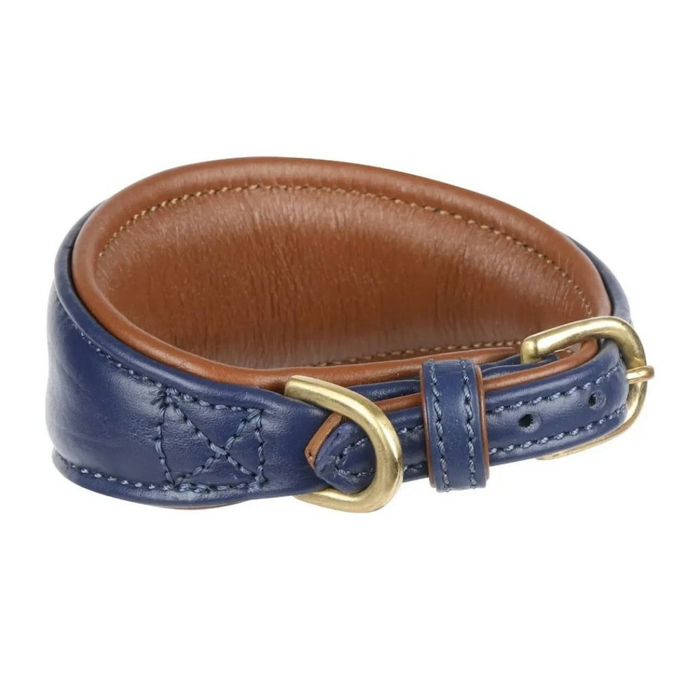 Digby & Fox Leather Padded Greyhound Dog Collar - Navy - M - Neckline: 29cm-34cm